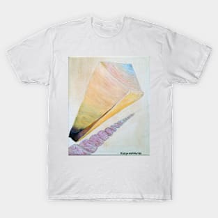 Sea Shells 3 T-Shirt